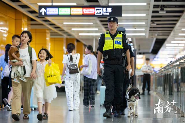 暑運期間，警犬“花卷”和“天天”跟隨著訓導員在廣州南站地鐵站進行例行安全檢查。